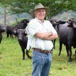 Proveedor de carne de búfalo en España.