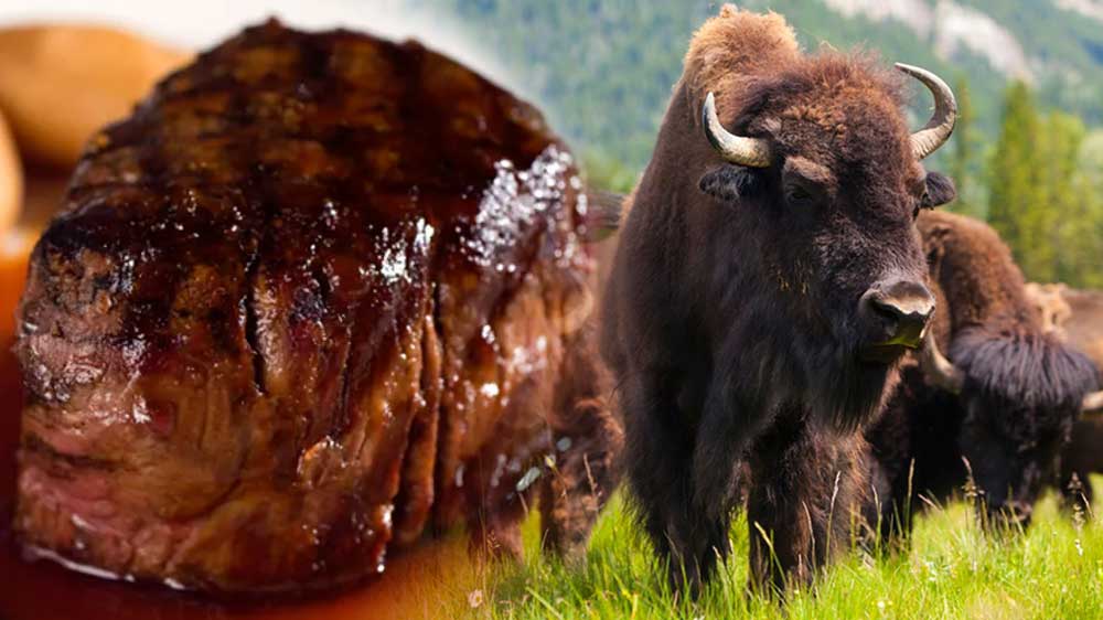 Dónde comprar auténtica carne de búfalo